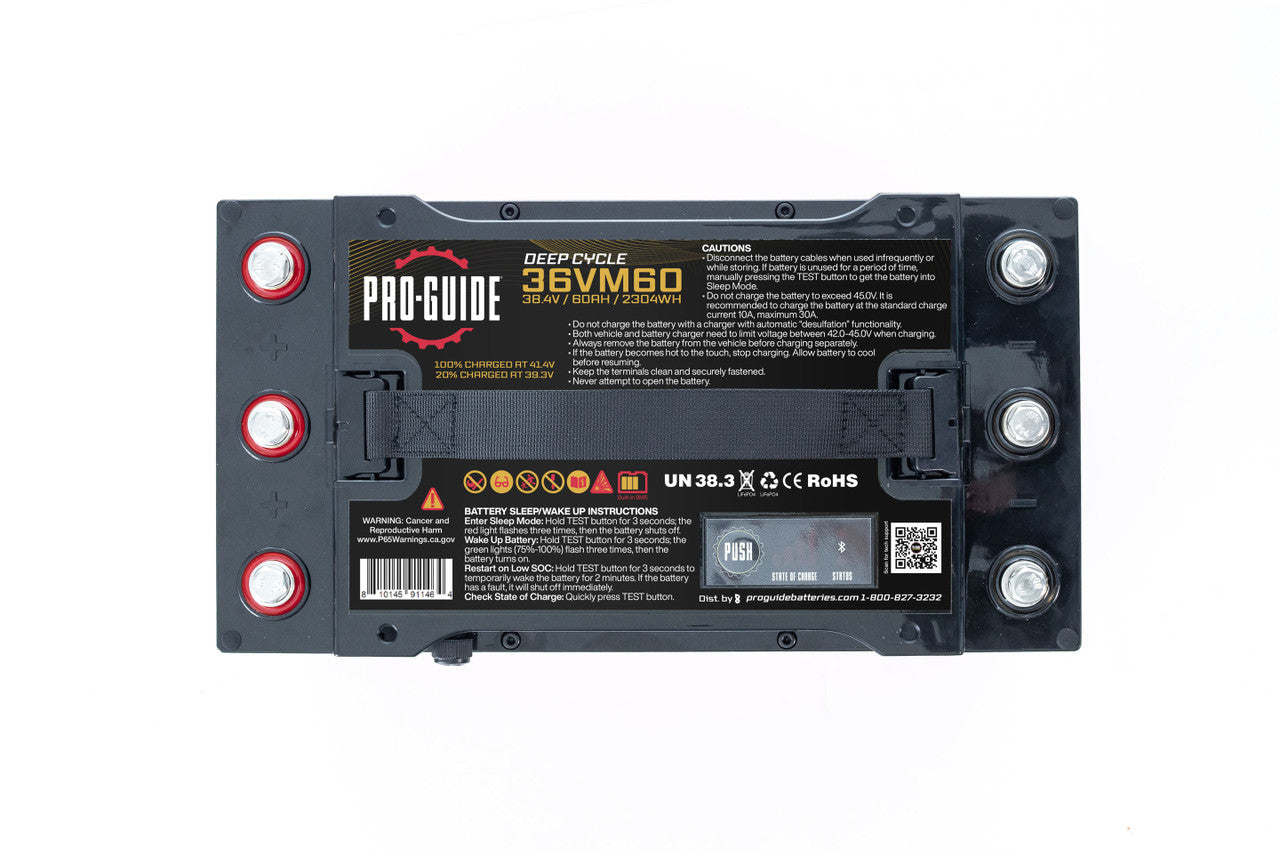 Pro-Guide Lithium PGL36VM60 Battery