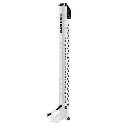 Minn Kota Raptor Shallow Water Boat Anchor